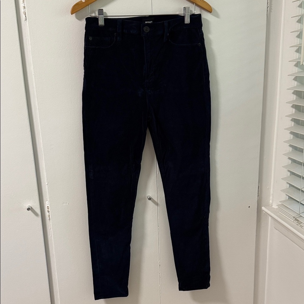 EUC Hudson velvet skinny jeans